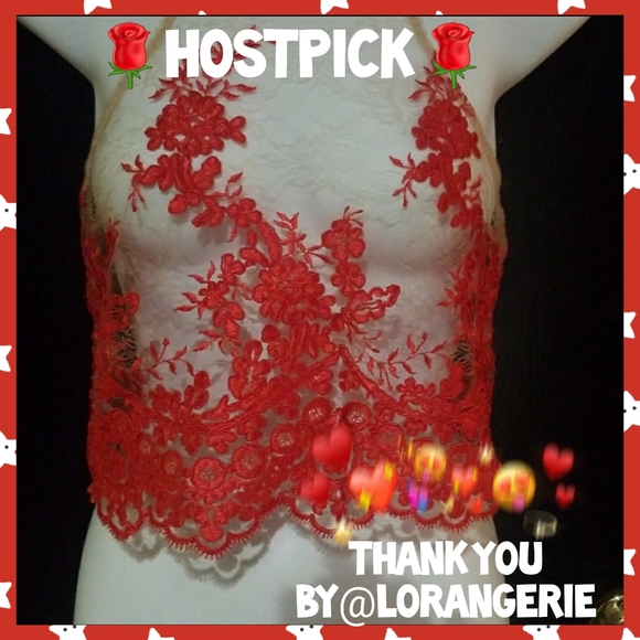Tops - Pretty sheer top-Crop top❤HOST PICK❤